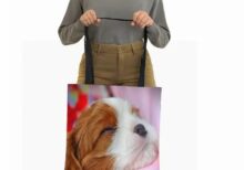 Cute-Cavalier-King-Charles-Spaniel-Dog-Shopping-Bag-Kawii-Spaniel-Puppy-Tote-Bag-Bookbag-Handbag-Large